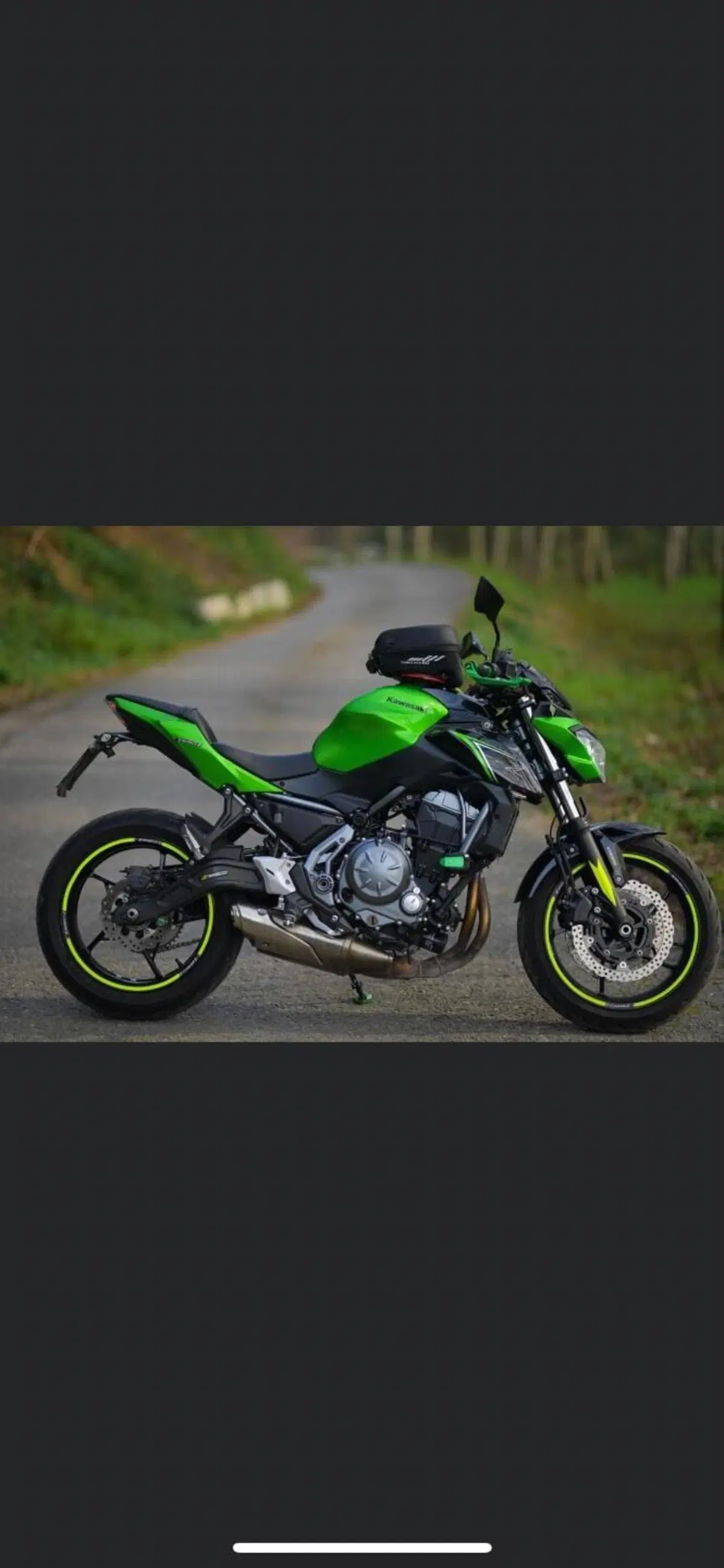 Kawasaki Z 650 (2017 - 19) (2)