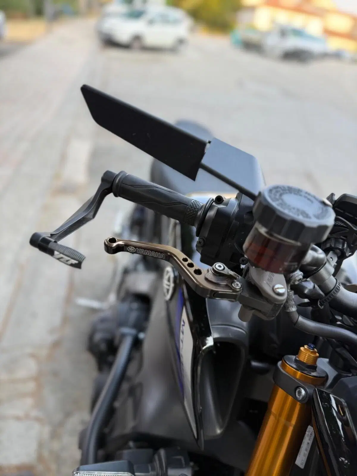 Yamaha MT-09 SP (2021 - 23) (10)