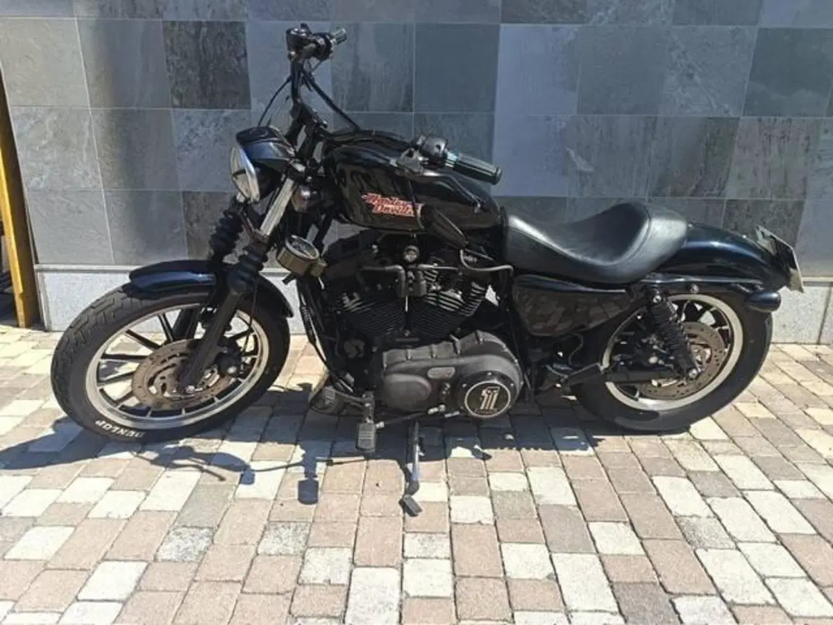 Harley-Davidson XL 1200N Nightster (2008 - 12) (6)