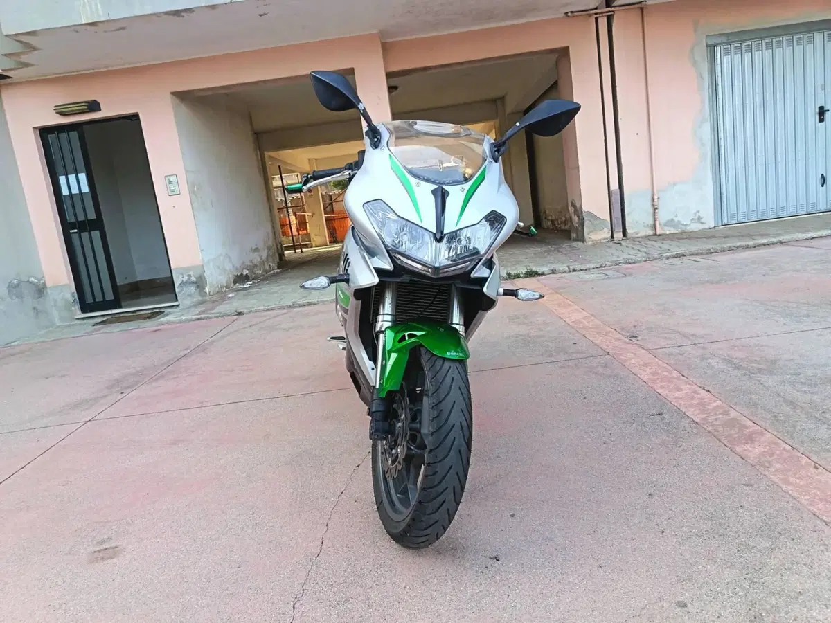 Benelli BN 302 (2017 - 19) (2)