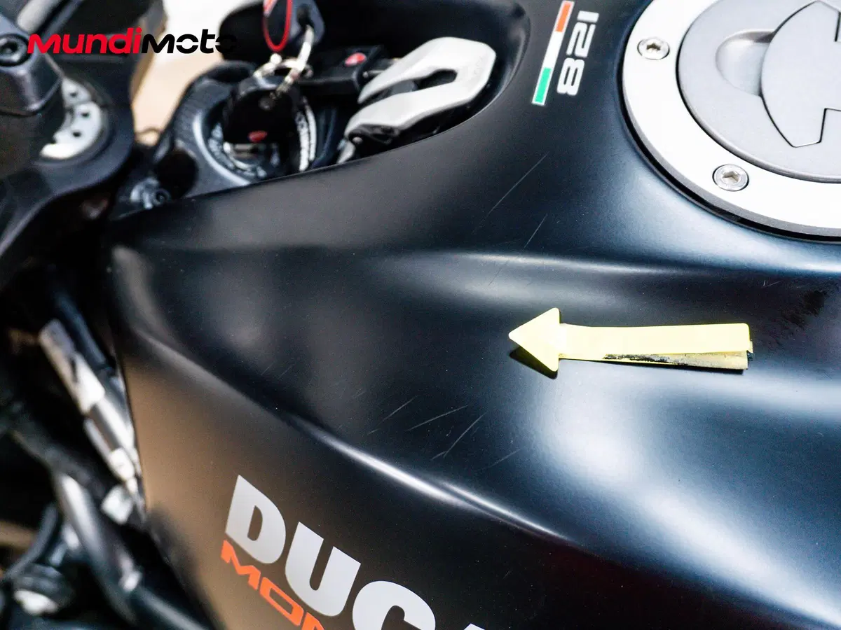Ducati Monster 821 (2018 - 20) (15)