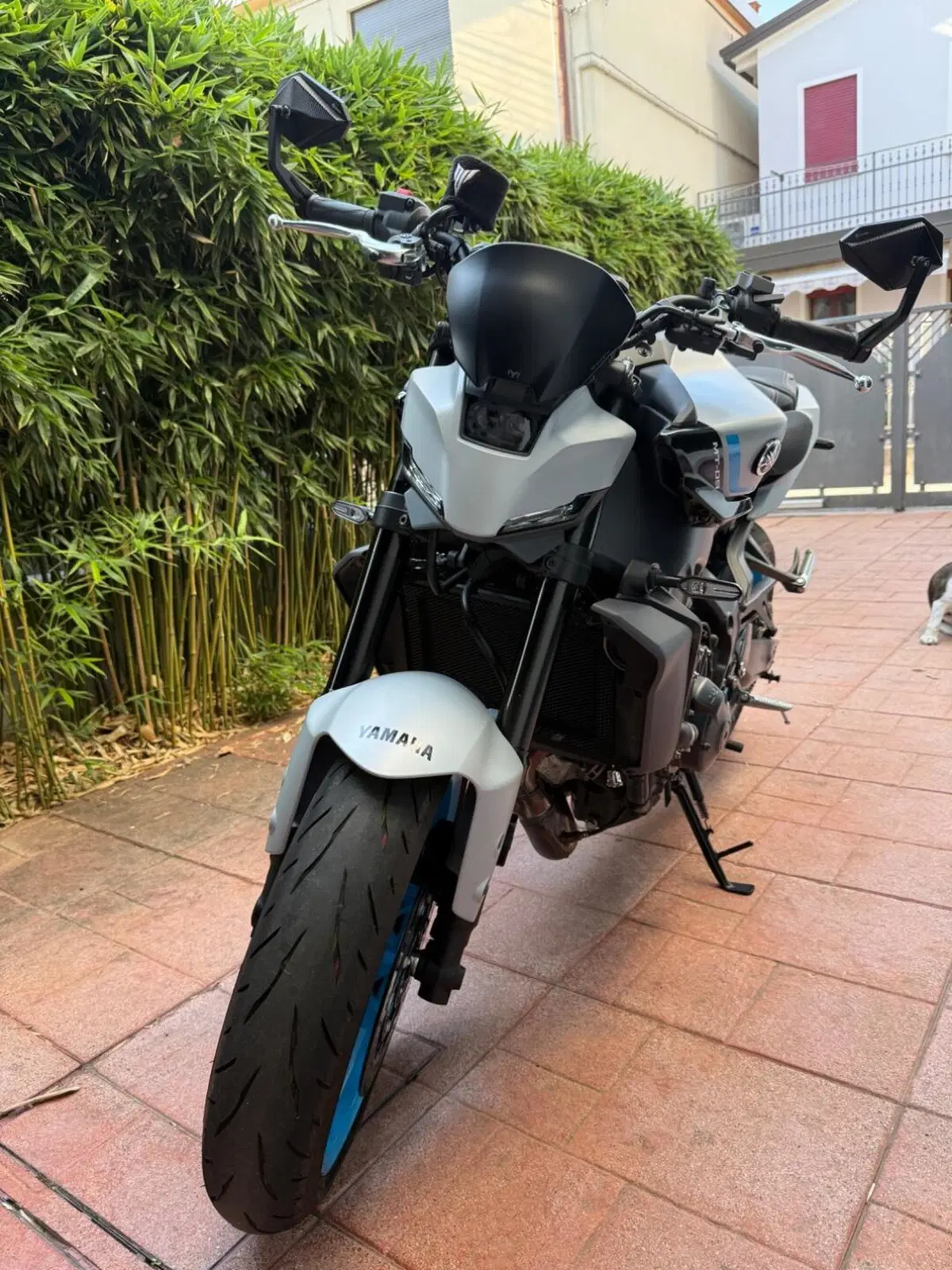 Yamaha MT-09 (2024 - 26)