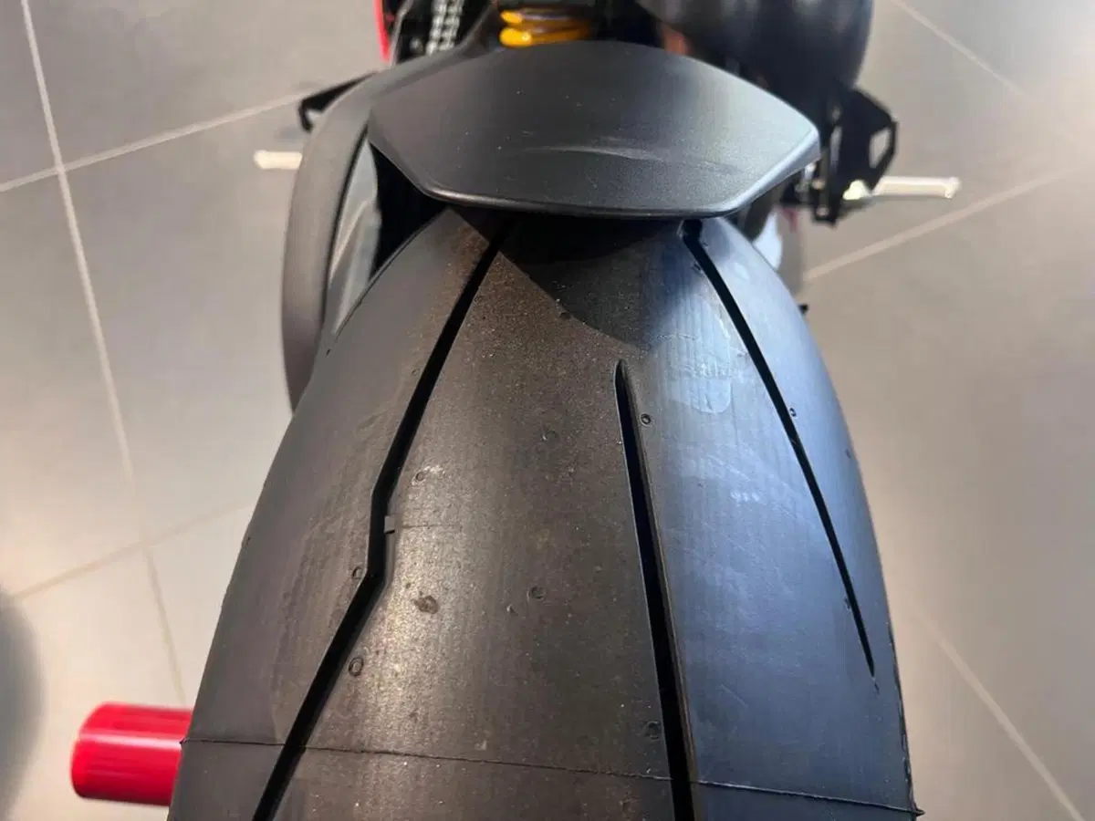 Ducati Panigale V4 R (2023 - 24) (13)