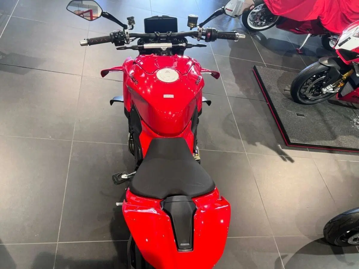 Ducati Streetfighter V4 1100 (2021 - 22) (7)
