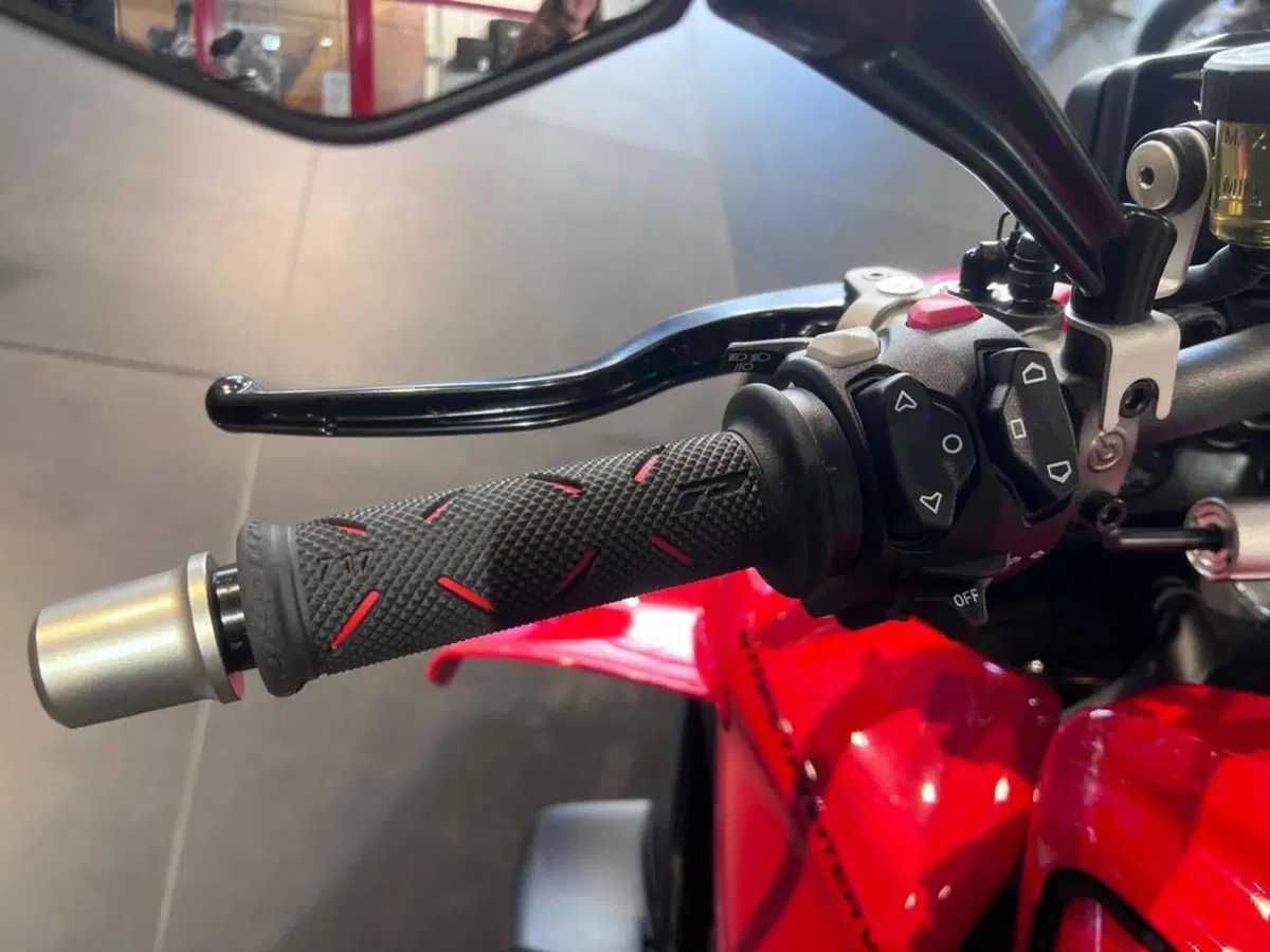 Ducati Streetfighter V4 1100 (2021 - 22) (10)