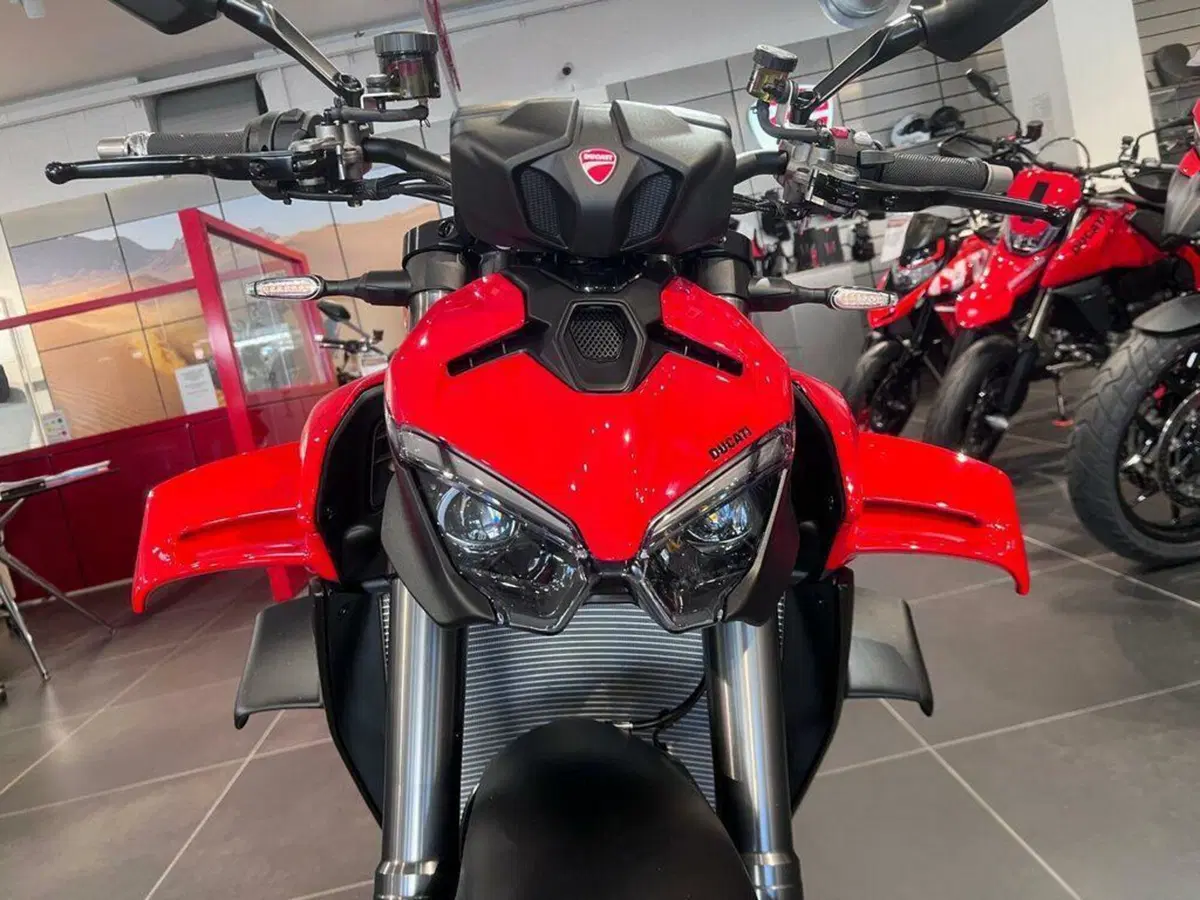 Ducati Streetfighter V4 1100 (2021 - 22) (8)
