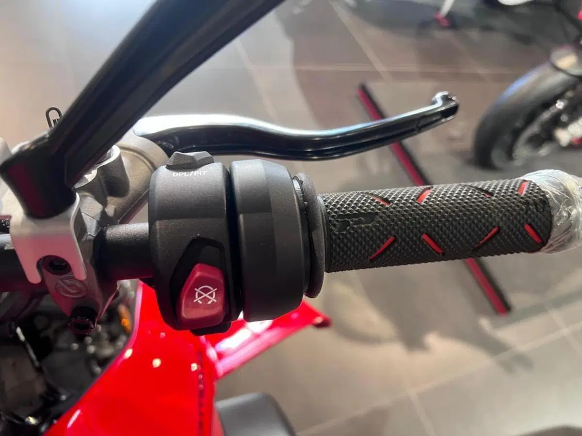 Ducati Streetfighter V4 1100 (2021 - 22) (11)