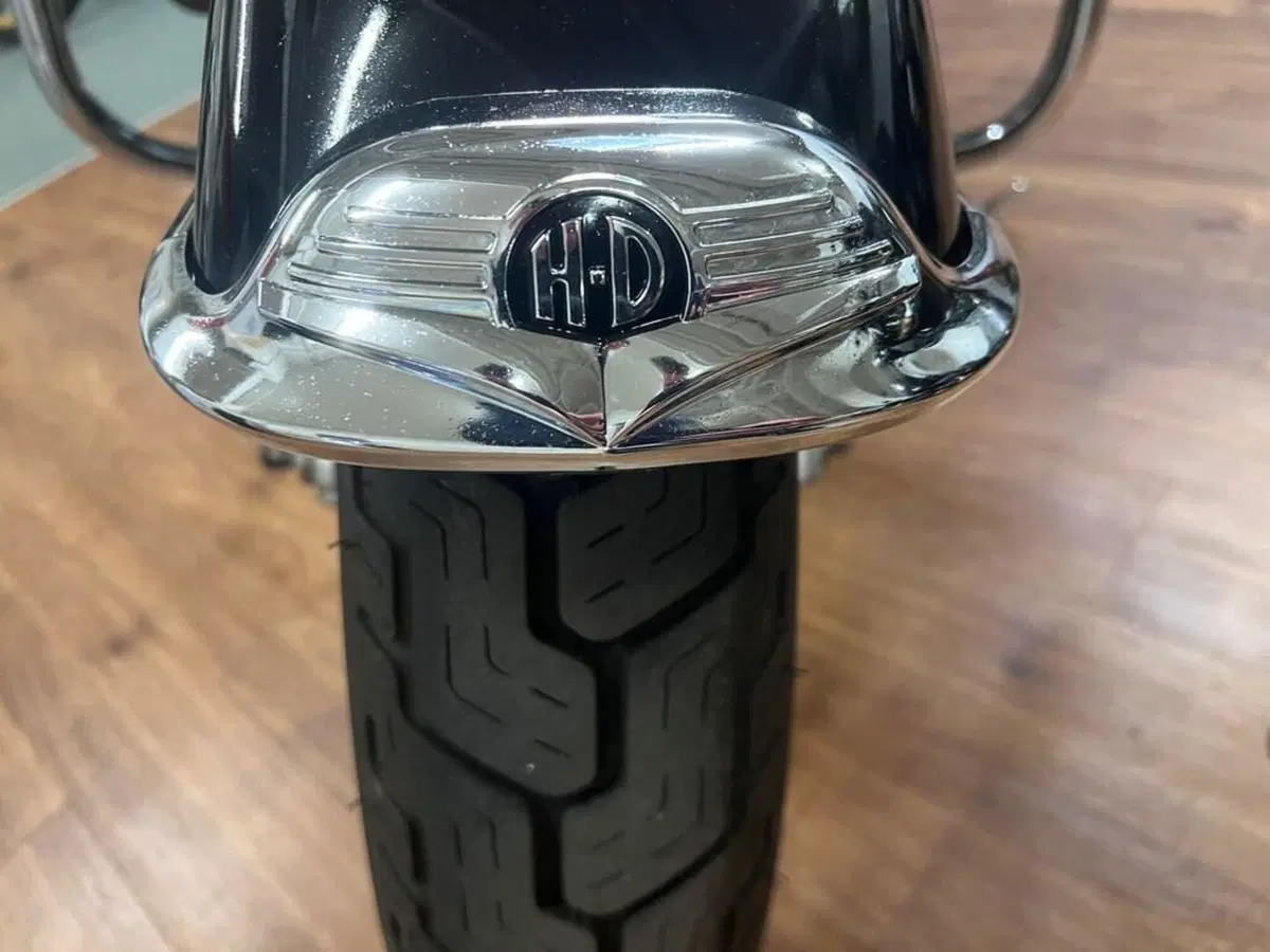 Harley-Davidson 1584 Road King Classic (2007 - 10) - FLHRC (13)