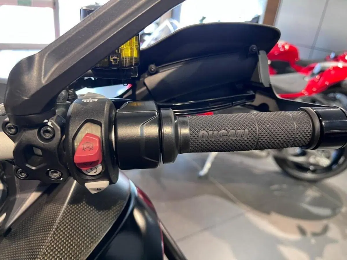 Ducati Multistrada 1200 ABS (2015 - 17) (12)