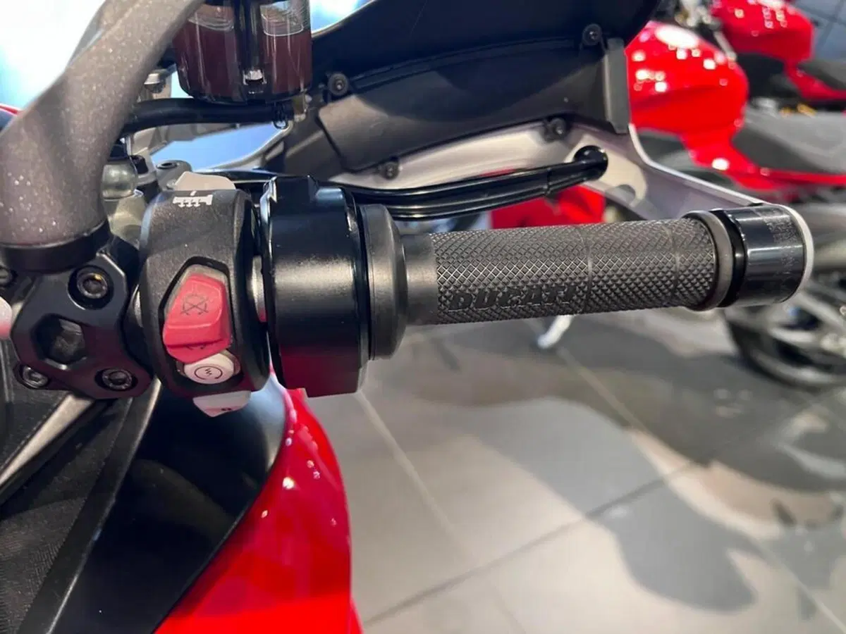 Ducati Multistrada 1260 S (2018 - 20) (12)