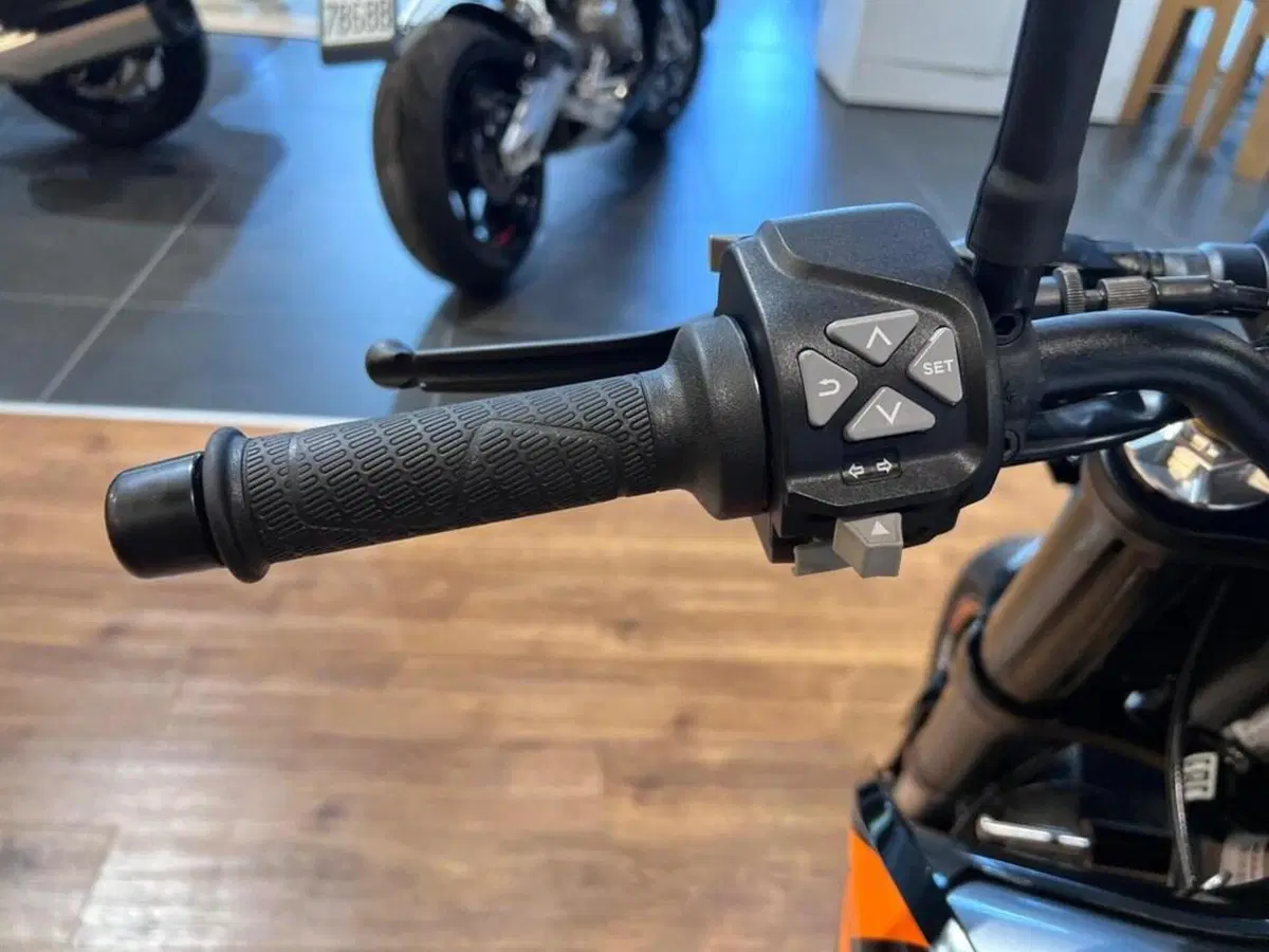 KTM 790 Duke (2018 - 20) (11)