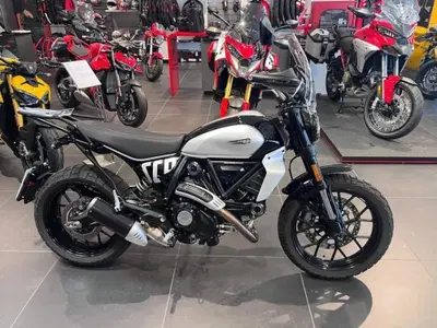 Ducati Scrambler 800 Icon (2023 - 24) usata