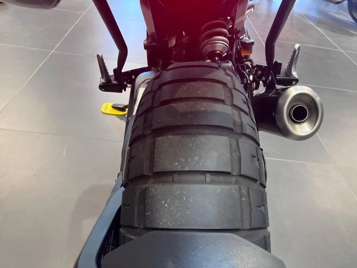Ducati Scrambler 800 Icon (2023 - 24) (14)