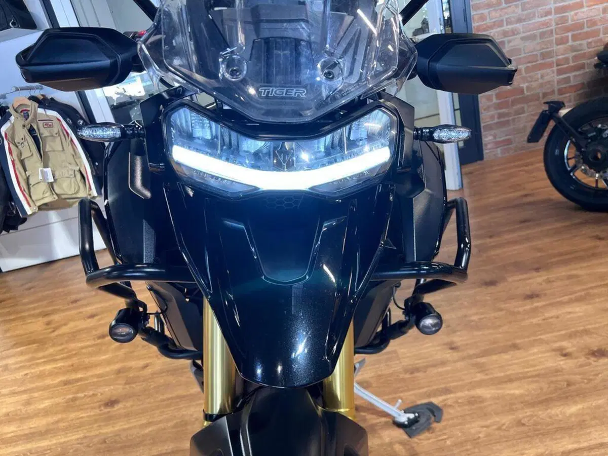 Triumph Tiger 1200 Rally Explorer (2022 - 23) (9)