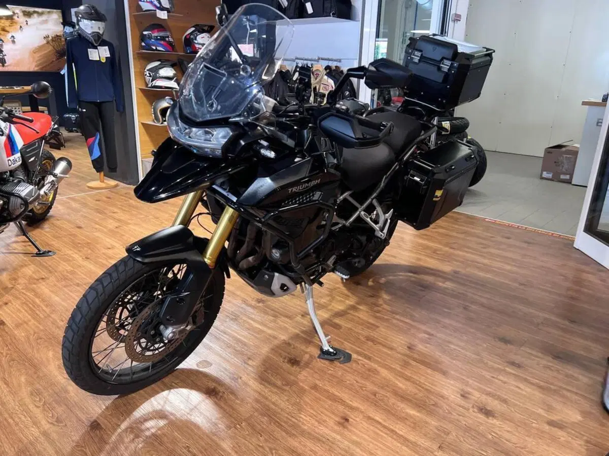 Triumph Tiger 1200 Rally Explorer (2022 - 23) (4)
