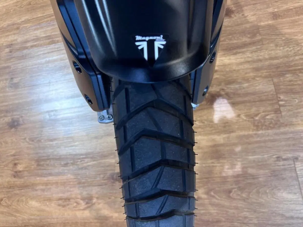 Triumph Tiger 1200 Rally Explorer (2022 - 23) (10)
