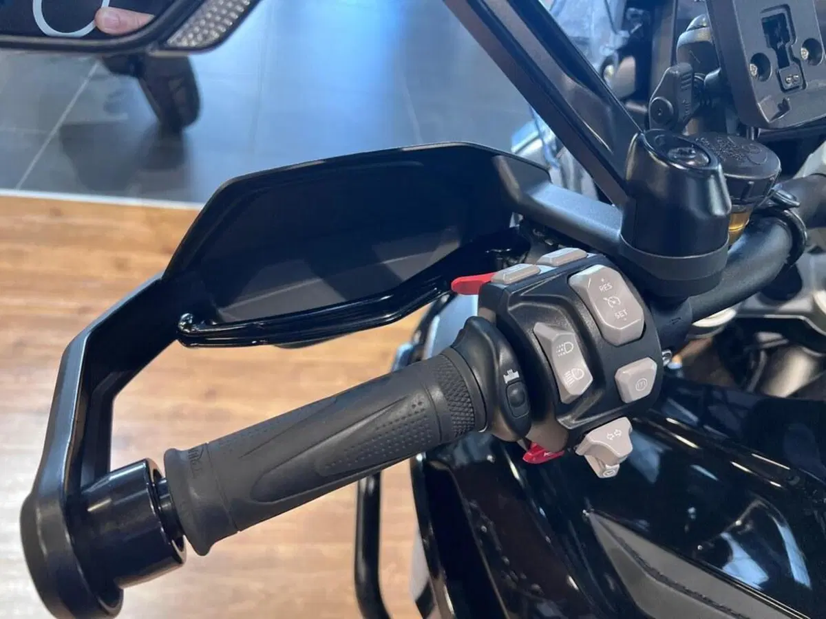 Triumph Tiger 1200 Rally Explorer (2022 - 23) (11)