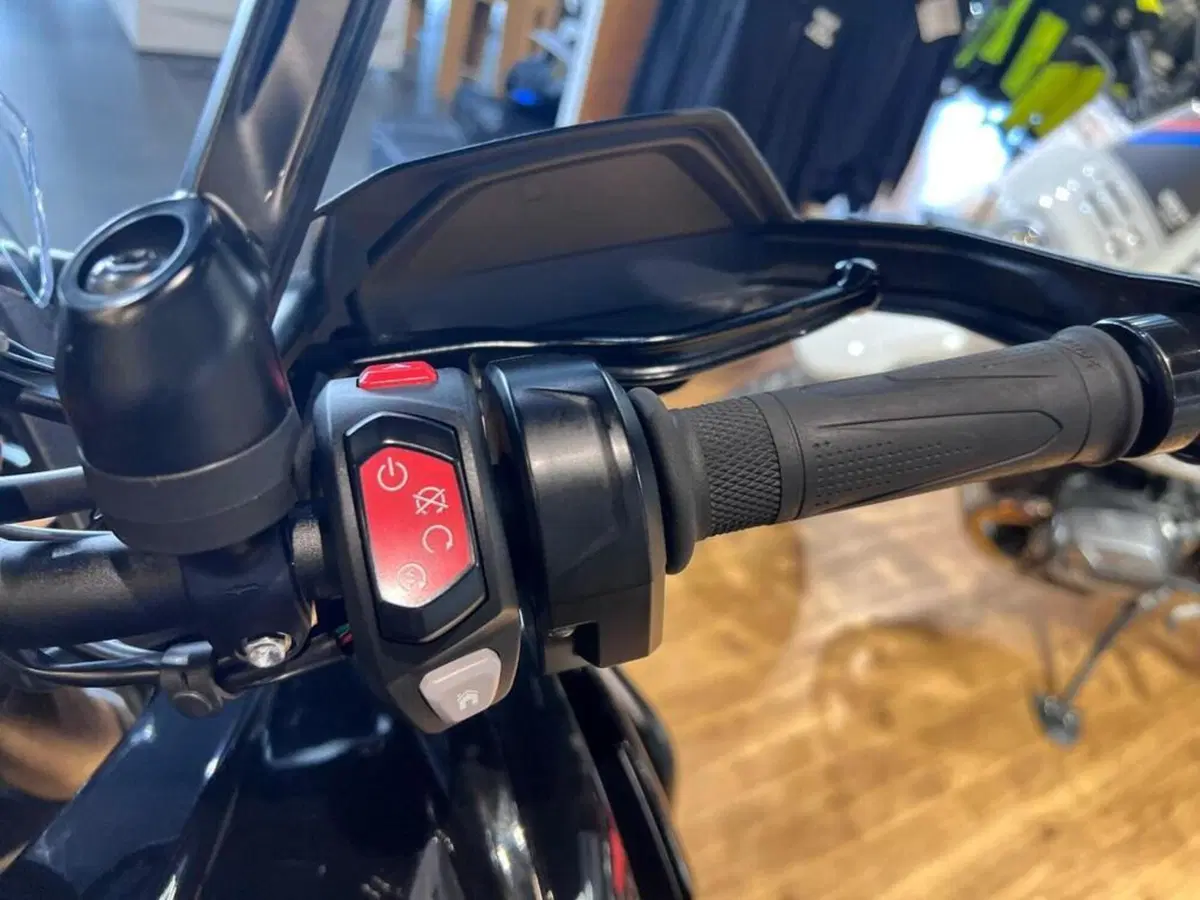Triumph Tiger 1200 Rally Explorer (2022 - 23) (12)