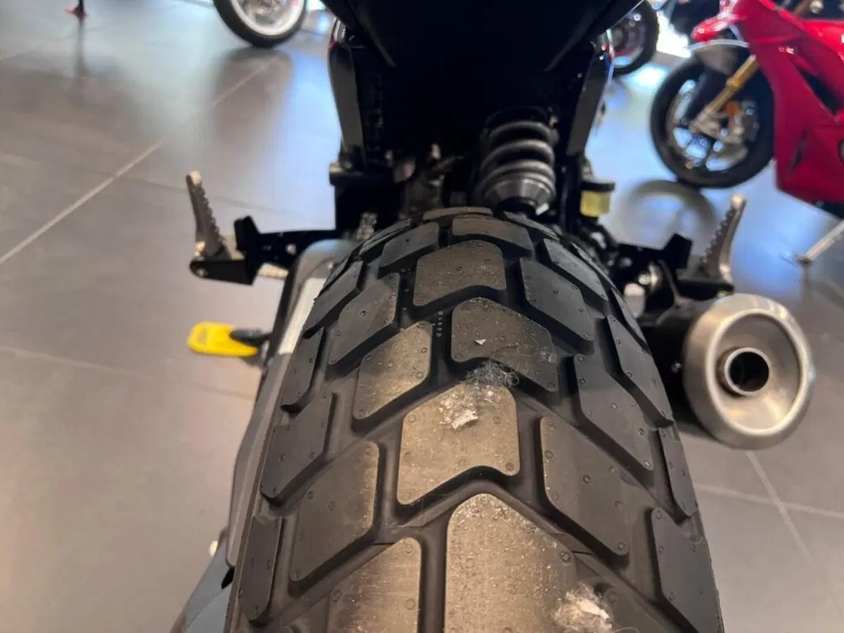 Ducati Scrambler 800 Icon (2025 - 26) (14)
