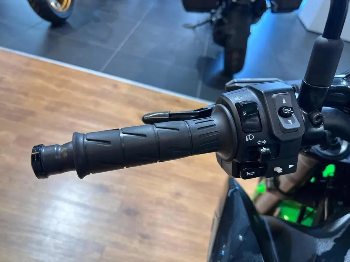 Kawasaki Z 900 (2020) (9)