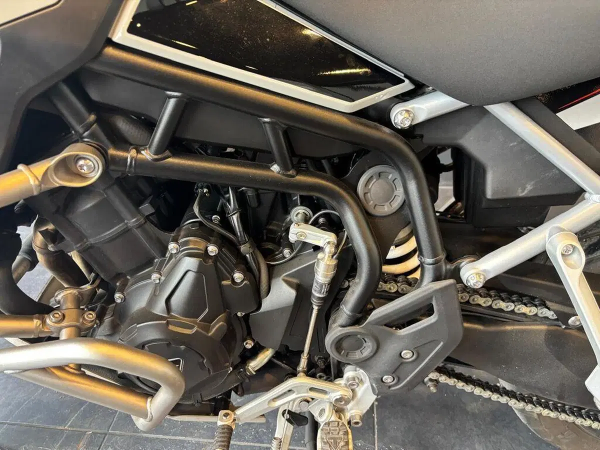 Triumph Tiger 900 Rally Pro (2024 - 26) (13)