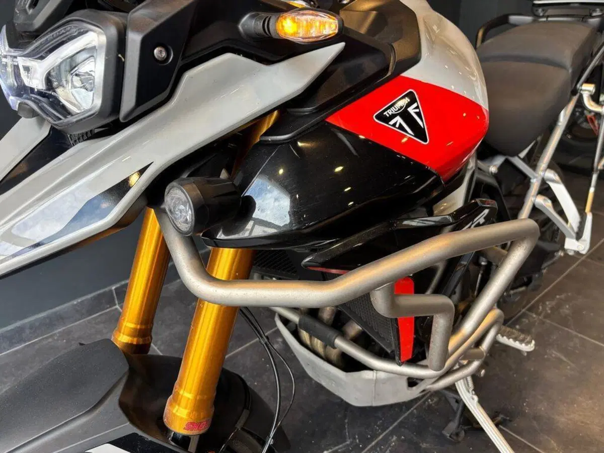 Triumph Tiger 900 Rally Pro (2024 - 26) (10)