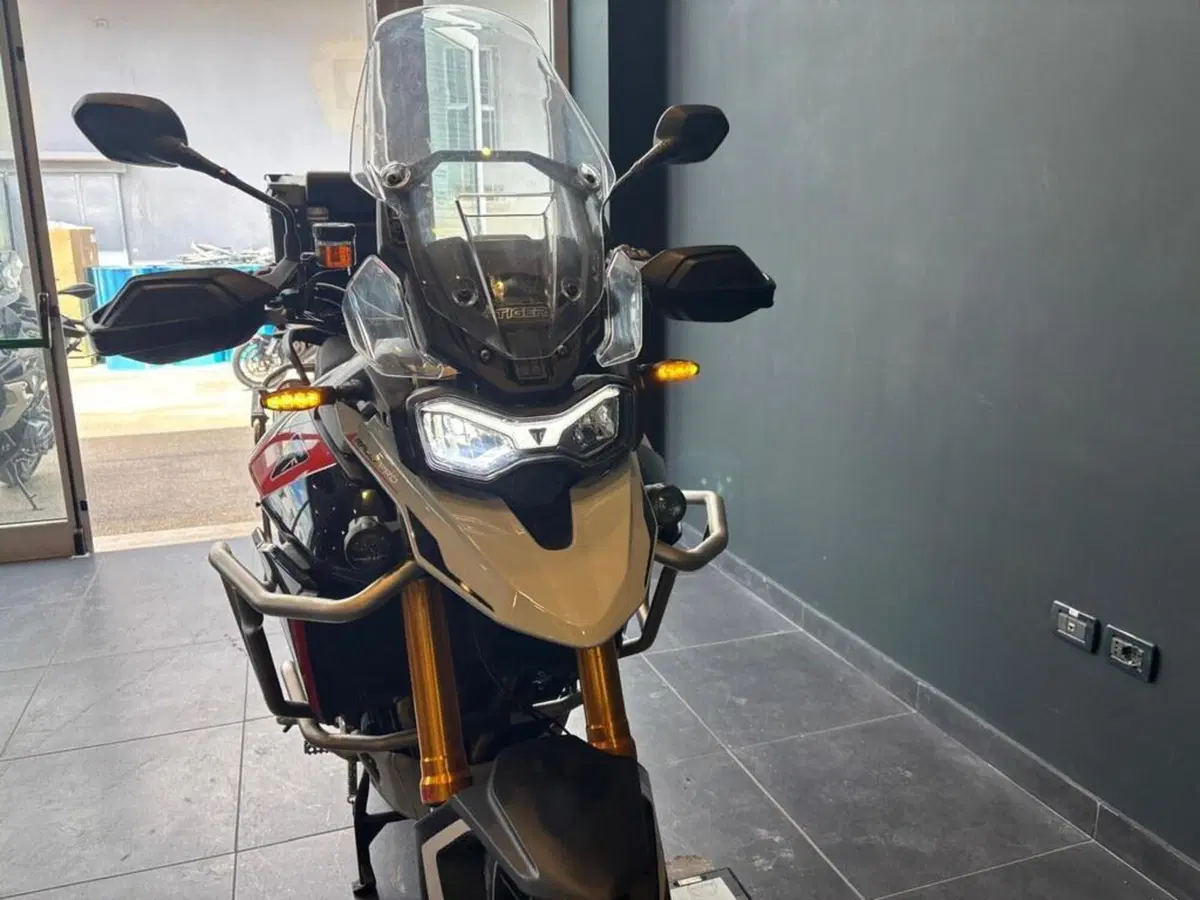 Triumph Tiger 900 Rally Pro (2024 - 26) (5)