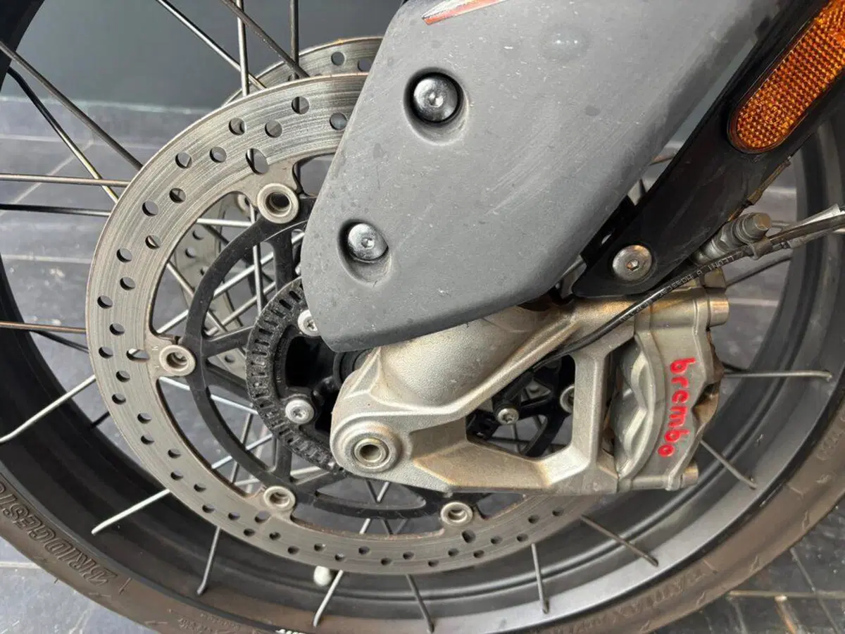 Triumph Tiger 900 Rally Pro (2024 - 26) (14)