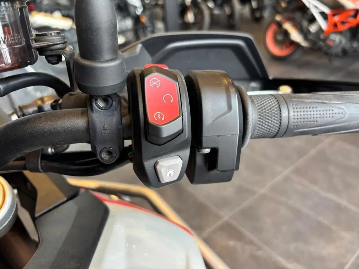 Triumph Tiger 900 Rally Pro (2024 - 26) (8)