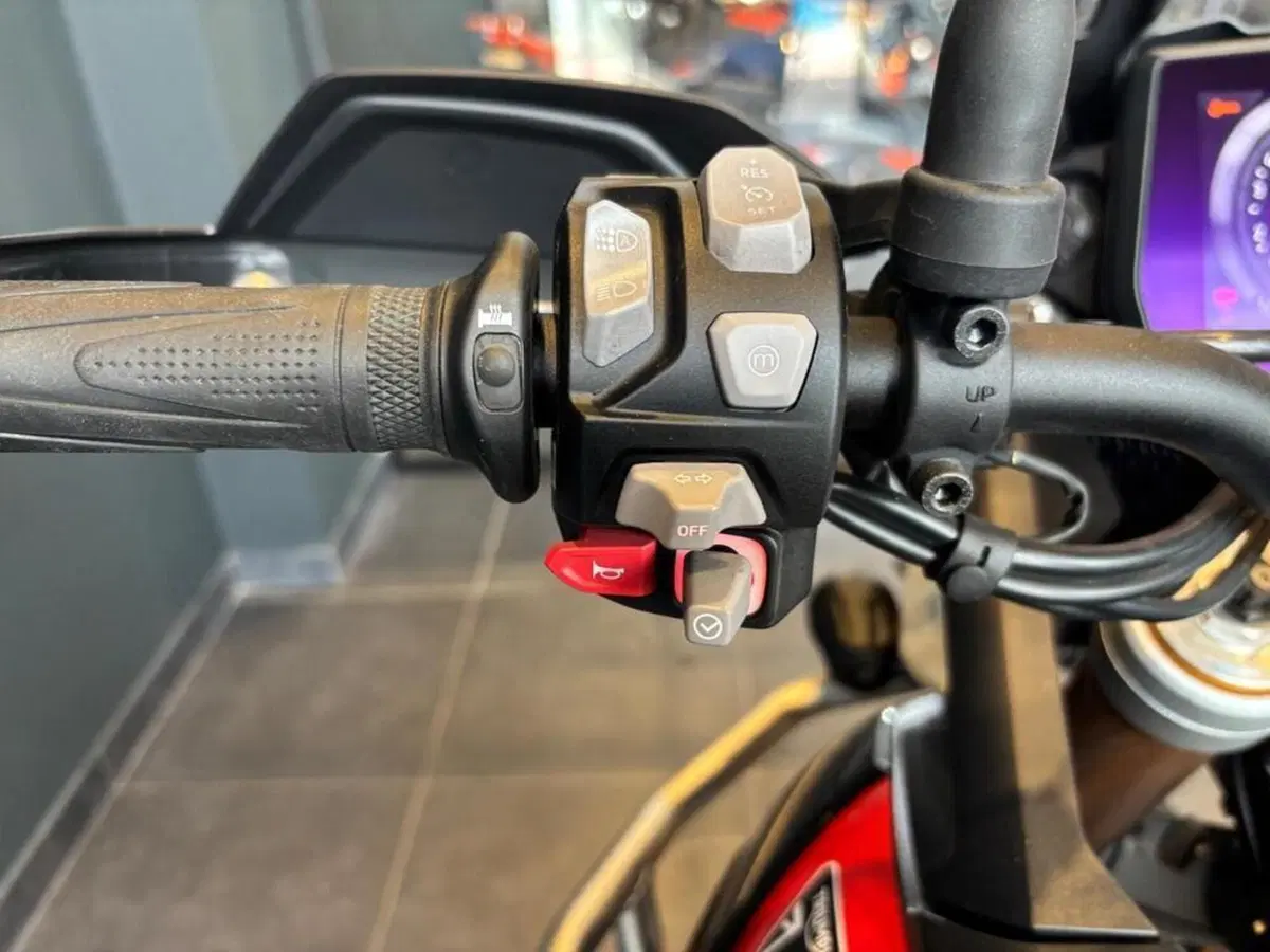 Triumph Tiger 900 Rally Pro (2024 - 26) (6)