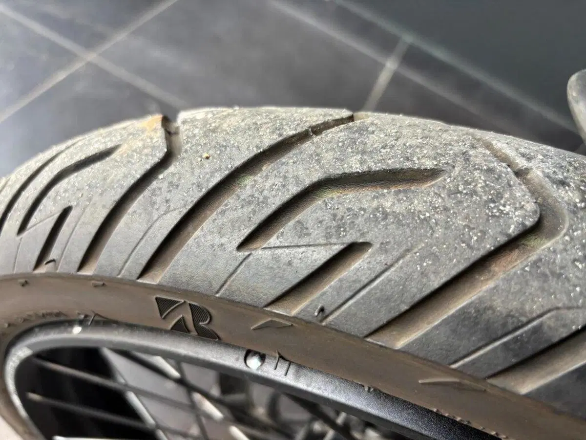 Triumph Tiger 900 Rally Pro (2024 - 26) (15)