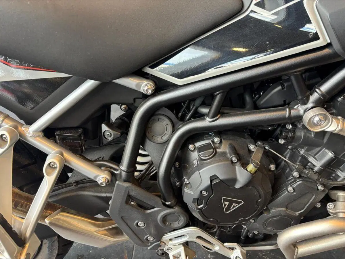 Triumph Tiger 900 Rally Pro (2024 - 26) (12)
