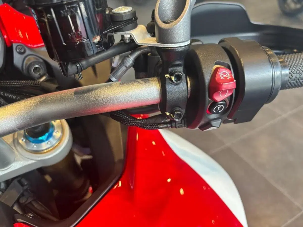 Ducati Multistrada V4 Pikes Peak (2021 - 24) (8)