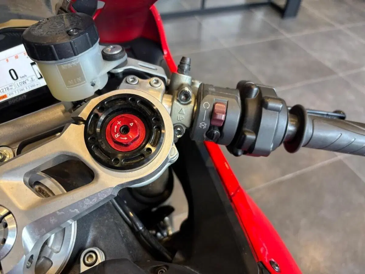 Ducati 1199 Panigale ABS (2013 - 14) (7)