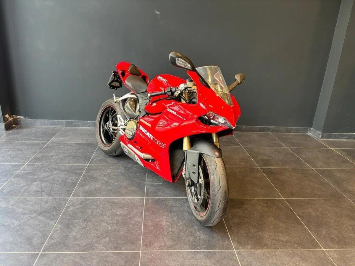 Ducati 1199 Panigale ABS (2013 - 14) (3)