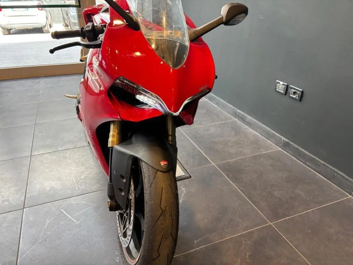 Ducati 1199 Panigale ABS (2013 - 14) (5)