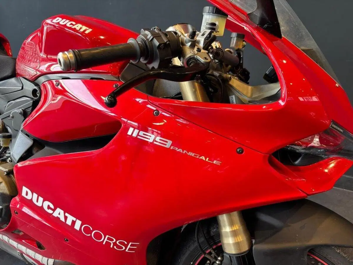 Ducati 1199 Panigale ABS (2013 - 14) (9)
