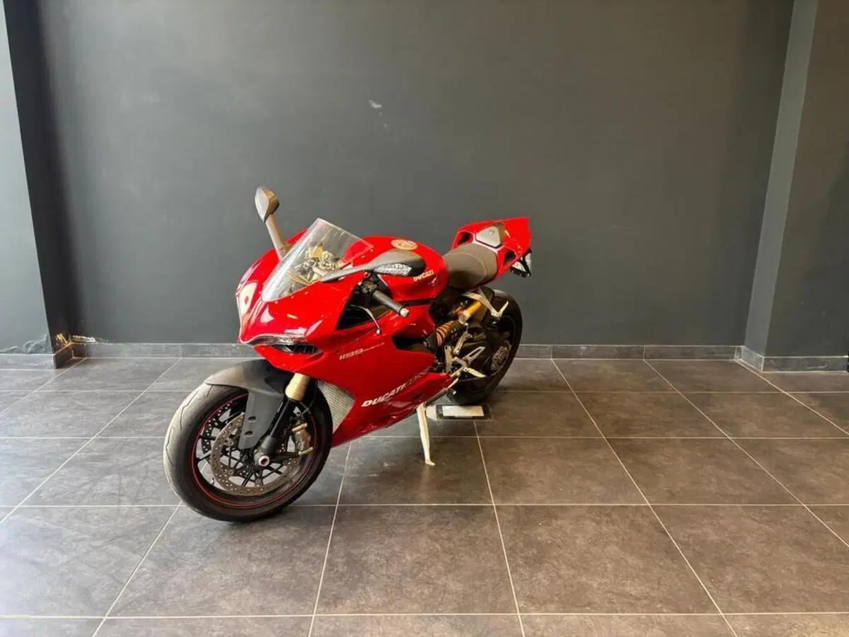 Ducati 1199 Panigale ABS (2013 - 14) (2)