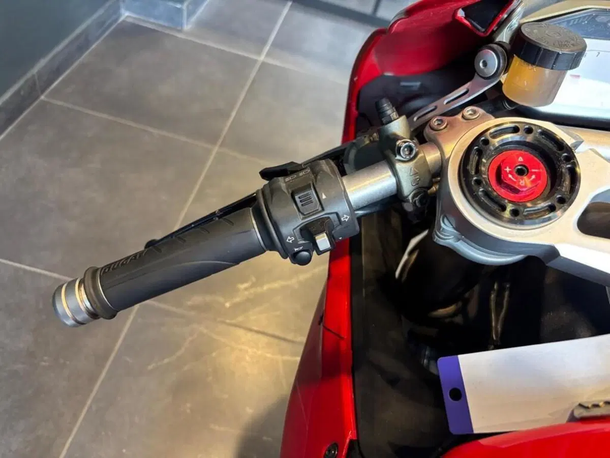 Ducati 1199 Panigale ABS (2013 - 14) (6)