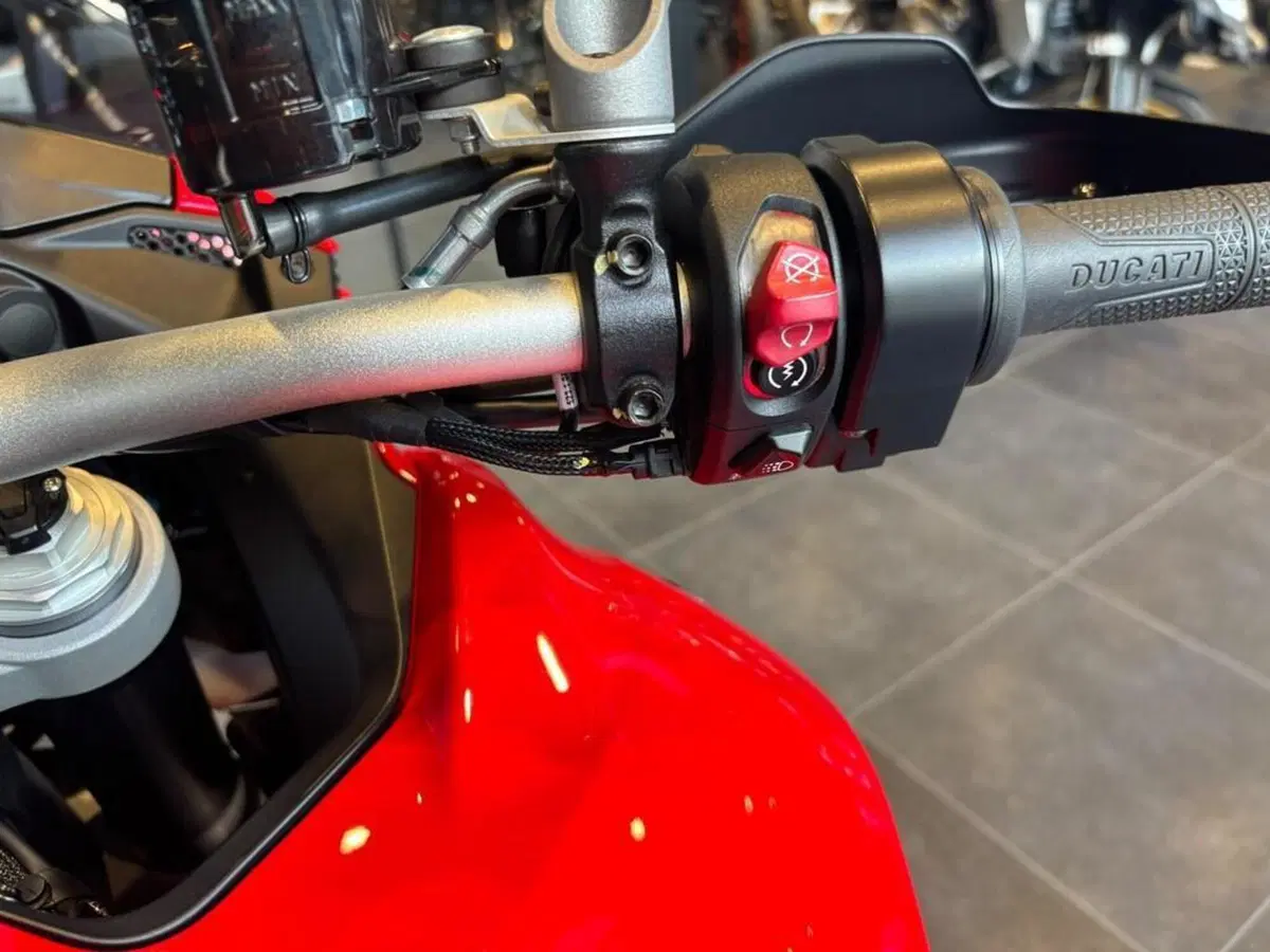Ducati Multistrada V4 S (2021 - 24) (8)