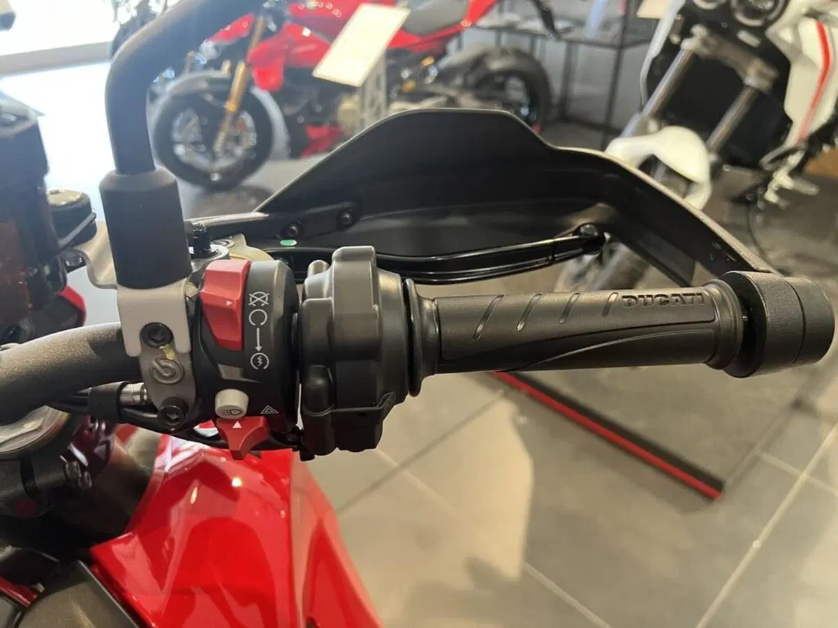 Ducati Hypermotard 698 Mono (2024 - 26) (9)