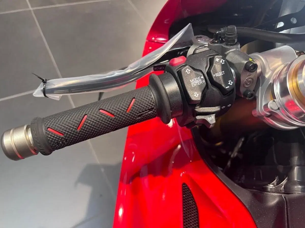 Ducati Panigale V4 R (2023 - 24) (10)