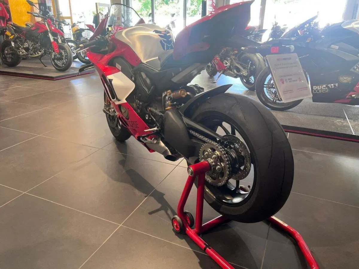 Ducati Panigale V4 R (2023 - 24) (6)