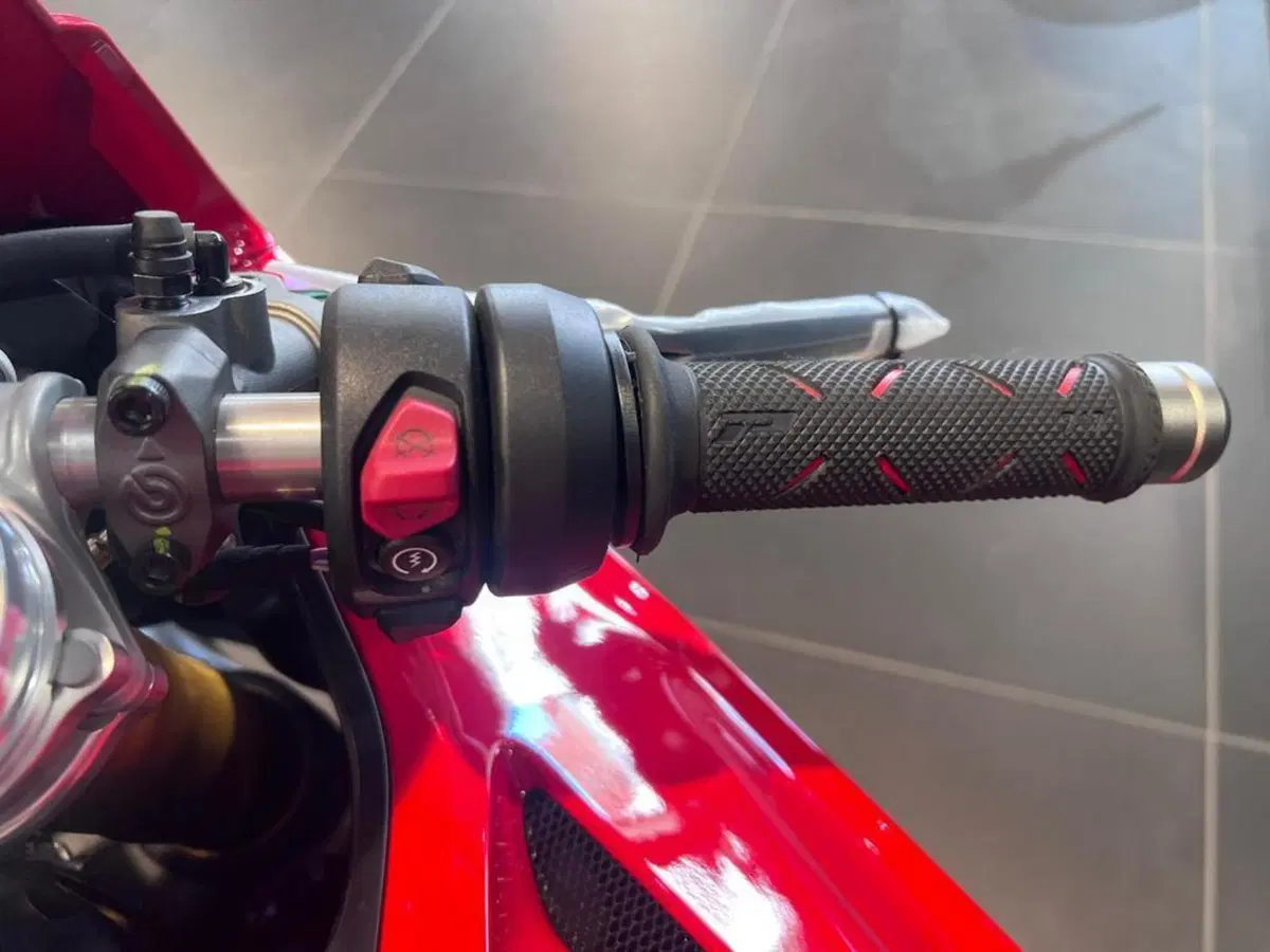 Ducati Panigale V4 R (2023 - 24) (11)