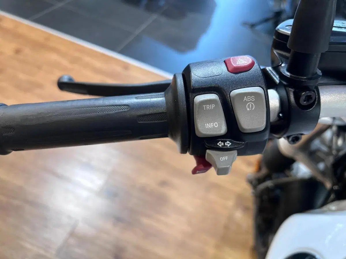 Bmw R nineT Urban GS 1200 (2017 - 20) (11)