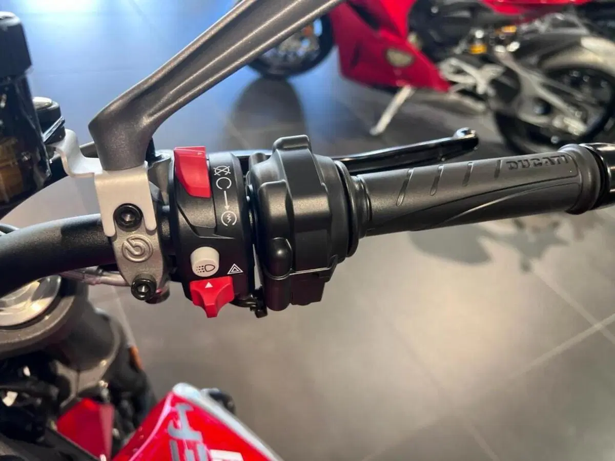 Ducati Monster 937 (2021 - 25) (12)