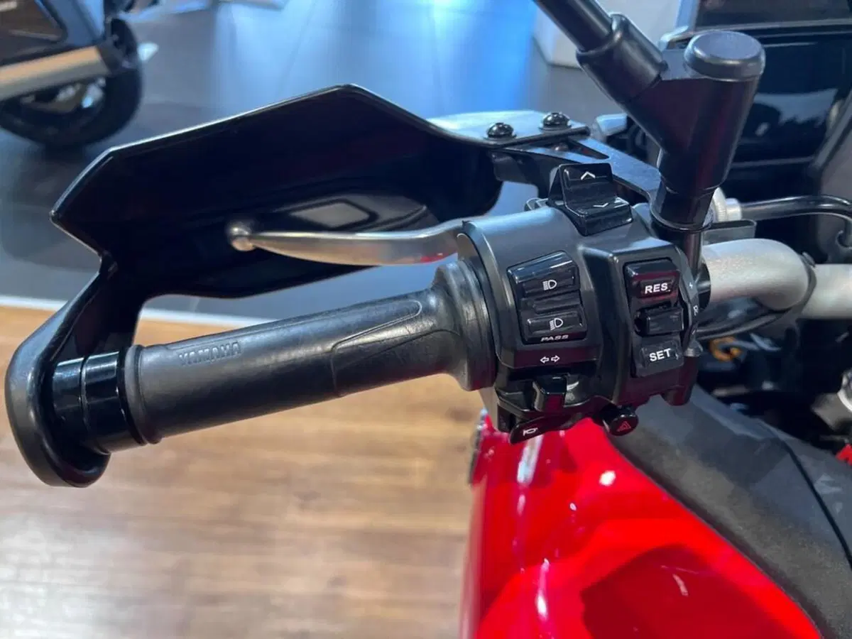 Yamaha MT-09 (2021 - 23) (11)