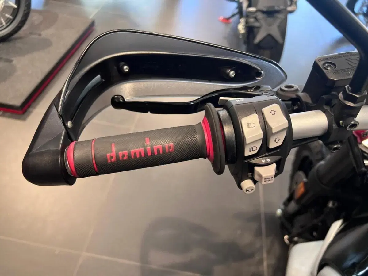 Ducati Scrambler 800 Icon (2023 - 24) (11)