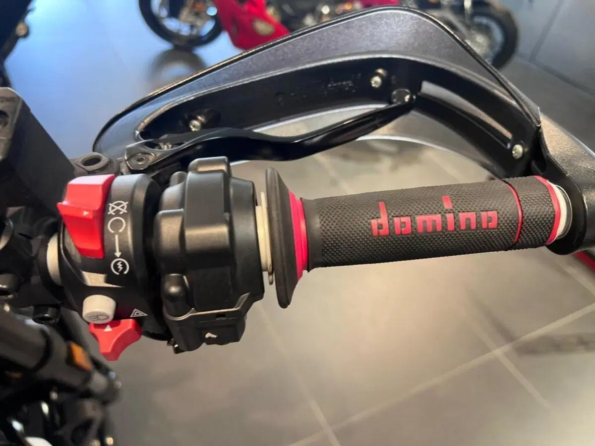 Ducati Scrambler 800 Icon (2023 - 24) (12)