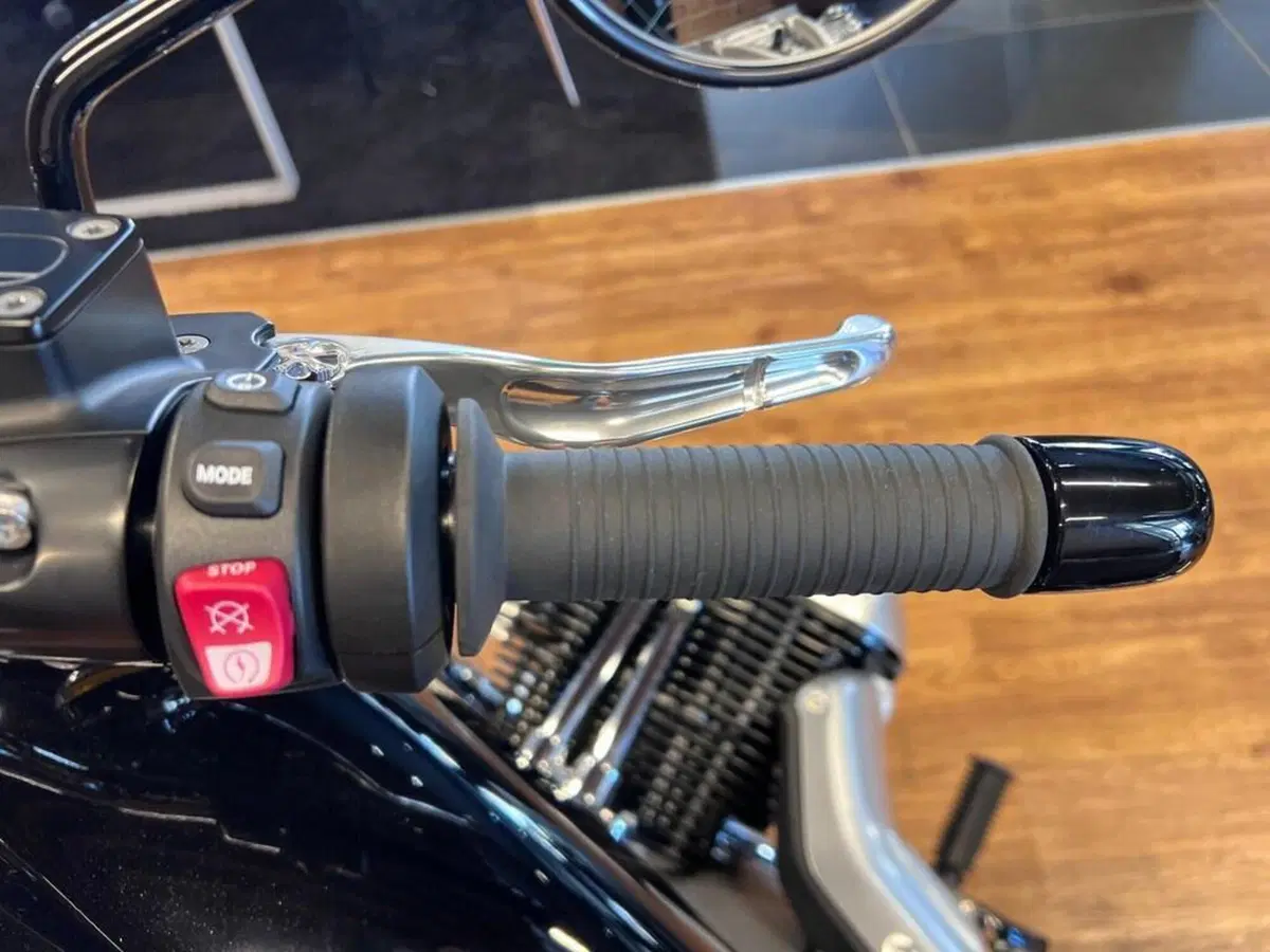 Bmw R 18 (2025 - 26) (12)